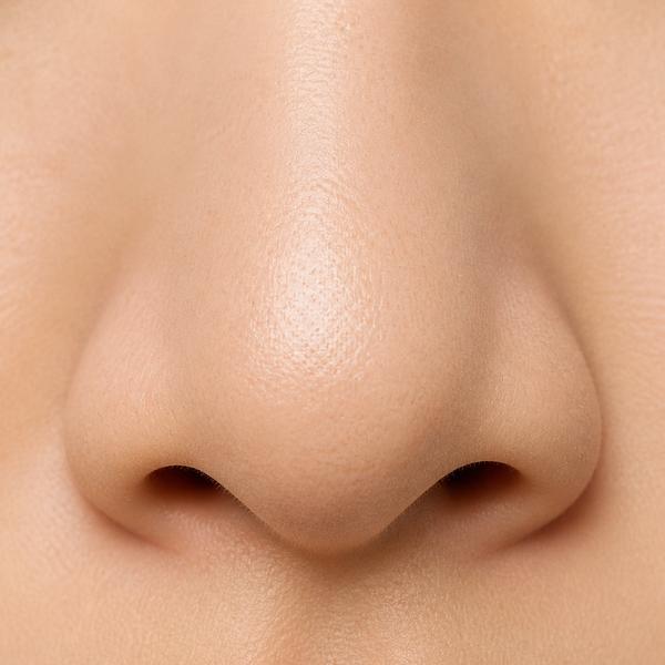 nose — Korean: 코