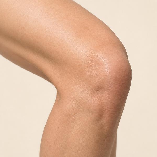 knee — Korean: 무릎