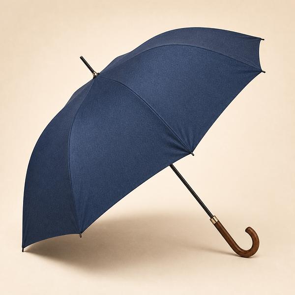 umbrella — Korean: 우산