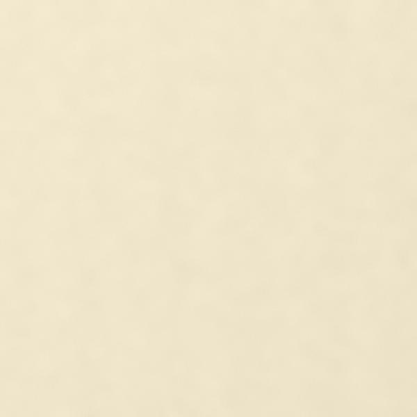 ivory — Korean: 아이보리색