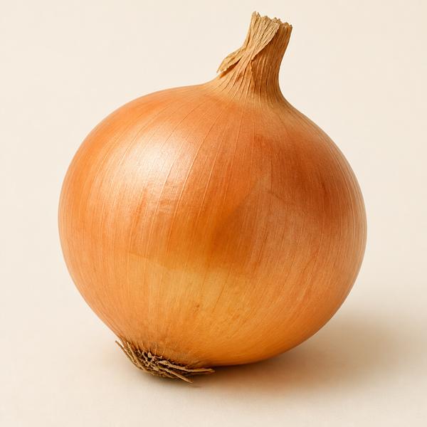 onion — Korean: 양파