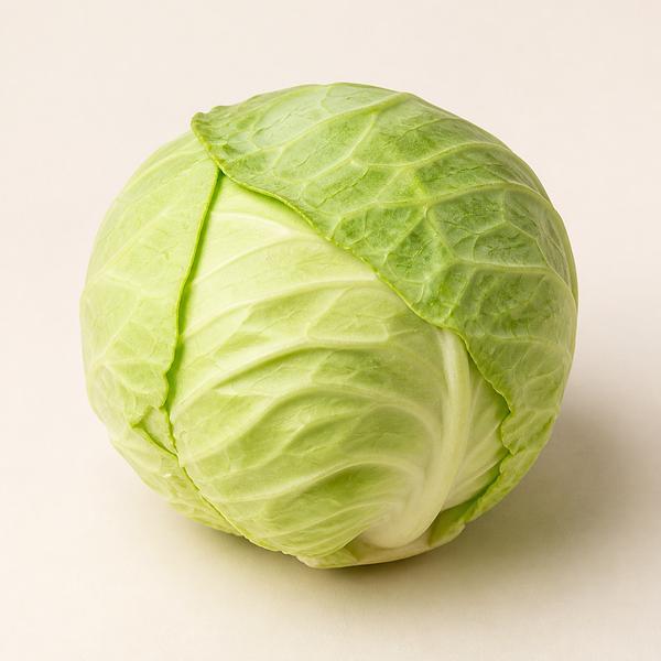 cabbage — Korean: 양배추