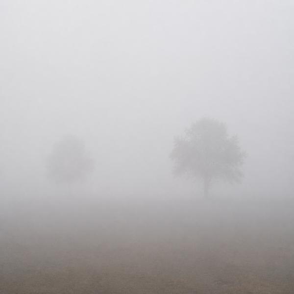 fog — Korean: 안개
