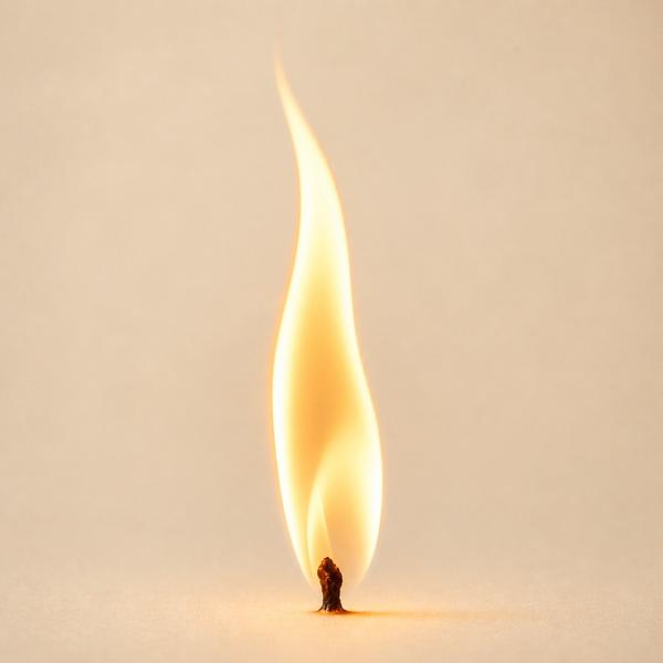fire — Korean: 불